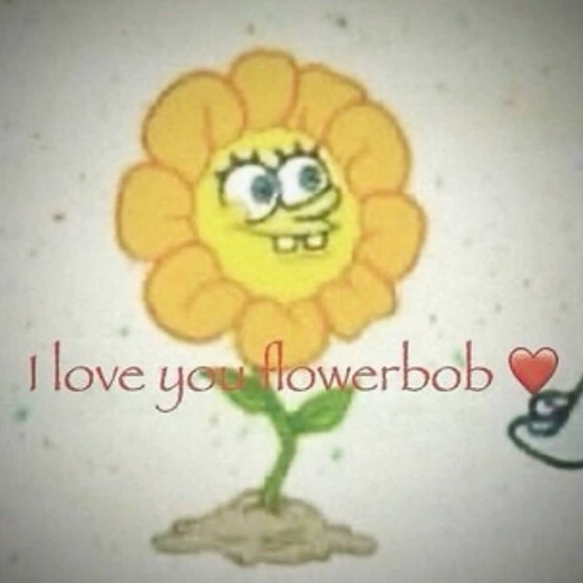 iLoveuHiiii's tweet photo. https://t.co/nTpsLwZNox