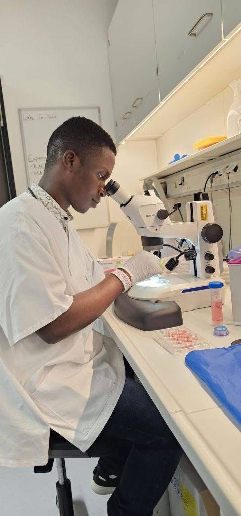 ErdsiOrg's tweet photo. ๐ Congratulations, Daniel! ๐๐ฌ
ERDSI proudly celebrates Daniel Dzemedo Nouwati, our Program Coordinator, on his research stay at Universitรคtsklinikum Bonn, Germany, through the G-WAC Research Stay Programme and the Filariasis Research Group โ KCCR.
#ERDSI #ImagineItCreateIt https://t.co/BEDDpN8IJd