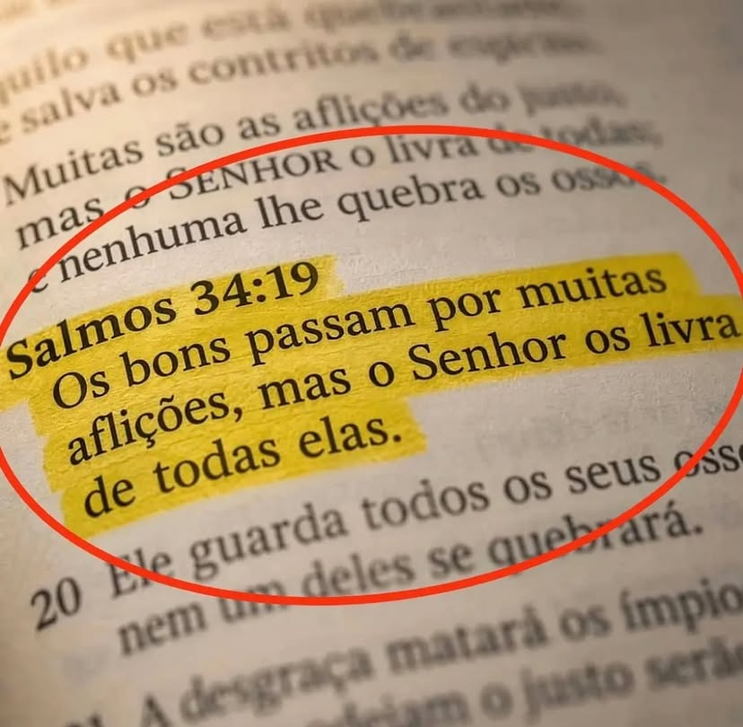 JesusCristoRe1's tweet photo. https://t.co/SfhH9k81Hn