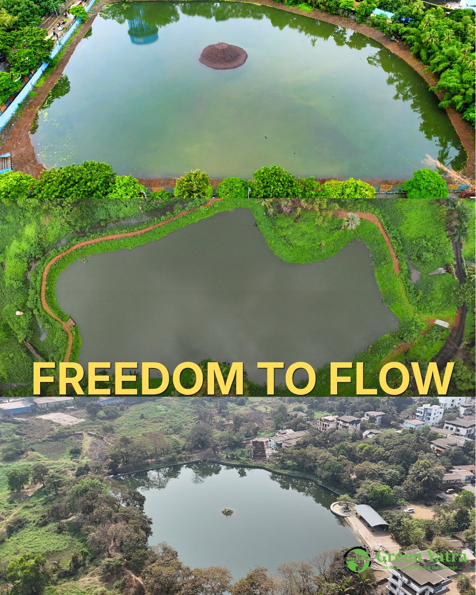 Greenyatra's tweet photo. This Independence Day, we're asking a different question: what is the cost of freedom for the land beneath our feet?

For 18 years, Green Yatra has worked to give that answer back to nature, one forest, one wetland, one shoreline at a time. Because a nation's freedom was never meant to come at its ecosystems' expense.

Real freedom is a forest that's allowed to grow wild. A river that's allowed to flow clean. A coastline that's allowed to hold its ground.

This year, we choose to celebrate both.

#IndependenceDay #AzaadiForNature #GreenYatra #EnvironmentalAction #RestoreIndia