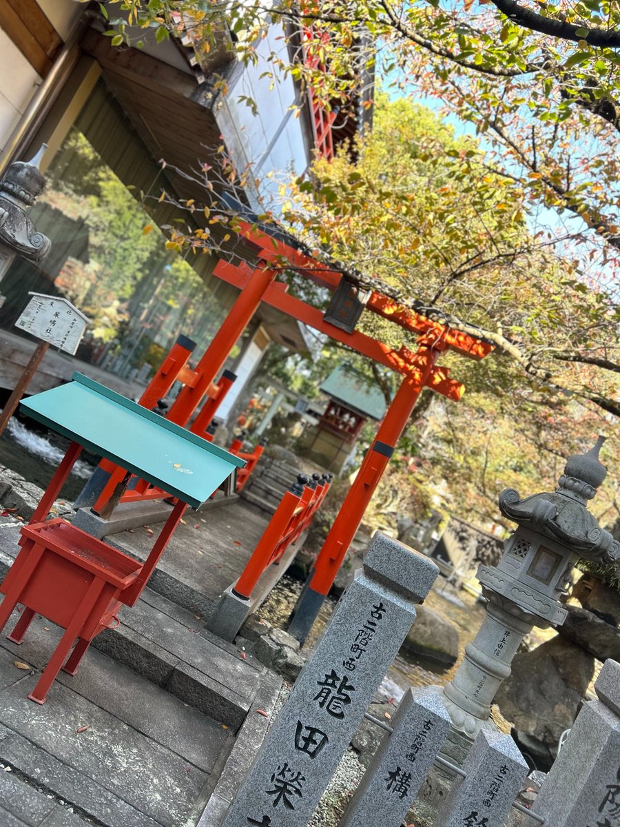 himejirussian's tweet photo. その他にも神社やお祭り、古い遺跡、ショッピングなど幅広いジャンルで楽しむことができるのです！

是非、姫路に来てみて下さい！もしDM等でお声がけ頂けたら時間があえば軽いガイドさせて頂きます！！«Добро пожаловать на Химэдзи !!» https://t.co/zbJslZ033c