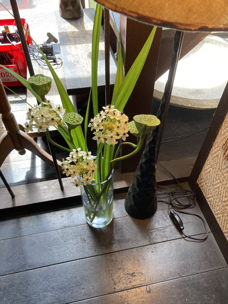salamlegian's tweet photo. 7/15土曜日12時~14時
本日のランチ ナシゴレン/マルタバ、アヤムゴレン、ガドガド
#lunch #札幌 #ミーゴレン #miegoreng #sapporo #ランチ #martabak #Beefrendang #indonesiafoods #インドネシア料理 #bali #バリ島 #tahuisi #サラムレギャン #salamlegian https://t.co/hP7eoiLUrr