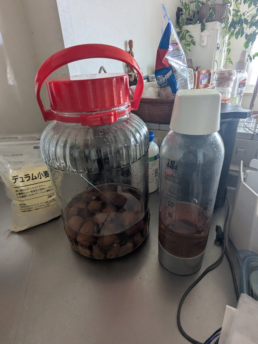 Black_Quark's tweet photo. 今まで晩酌でビールのあとに飲んでたのが梅酒じゃなくて”梅酢"だったと今さっきかあちゃんに教えてもらったwww https://t.co/fZh0GMYD42
