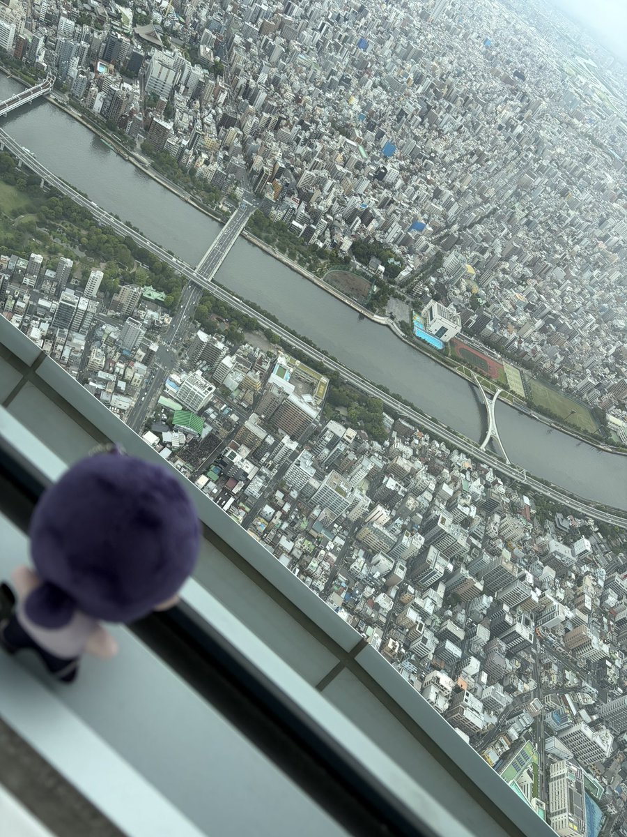 tkmrntk's tweet photo. 地上450mだよ高いねレゼ…
最後のは可愛いけどギリ笑えないかもしれないねレゼ… https://t.co/hMfaoc3m88