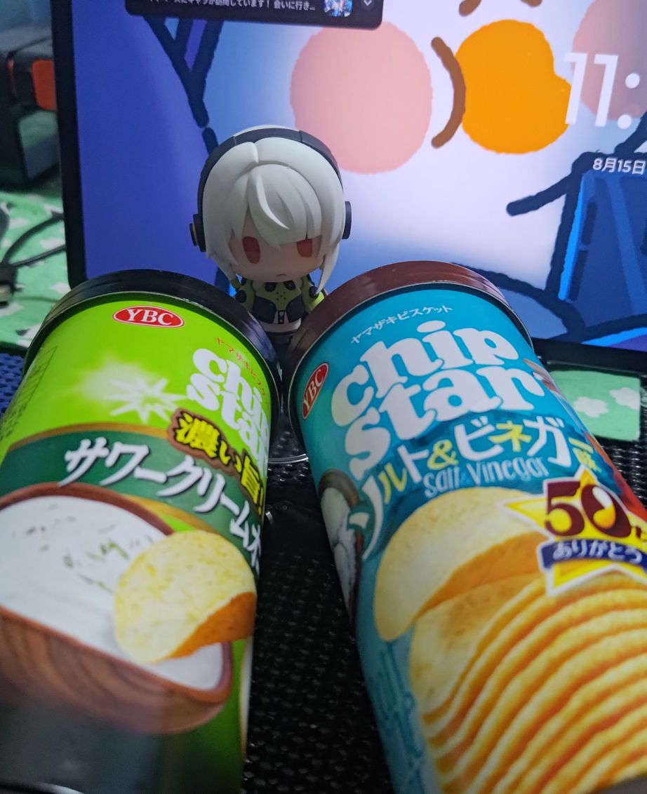 お菓子買い出し。チップスターのいろんな味ある店見つけたー ……って今