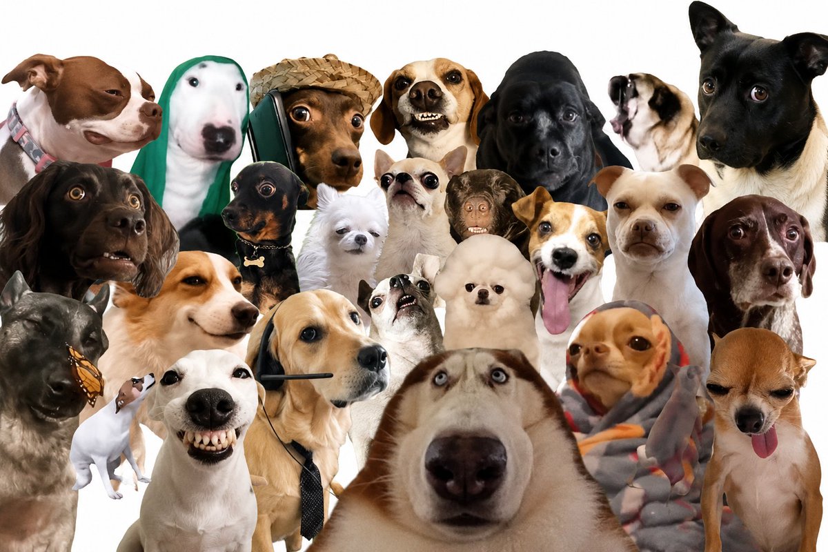 CashDogs_'s tweet photo. What the gang doing? https://t.co/ycsCUtVUl4