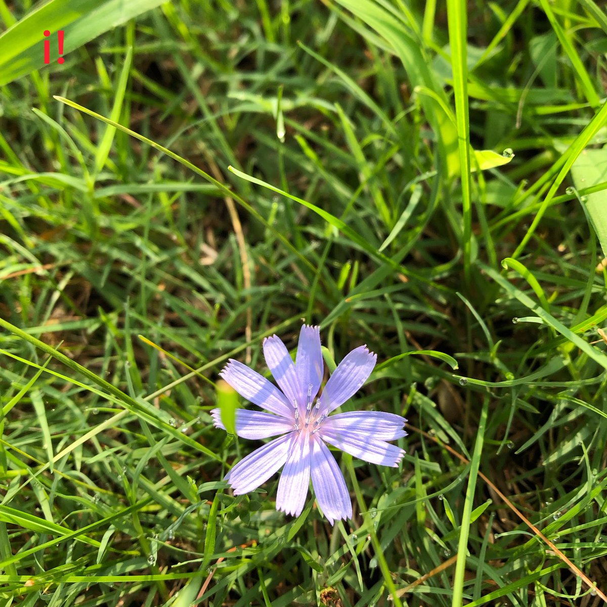 indieindic's tweet photo. Because beauty also lies in contrasts. https://t.co/otauinvNZ8