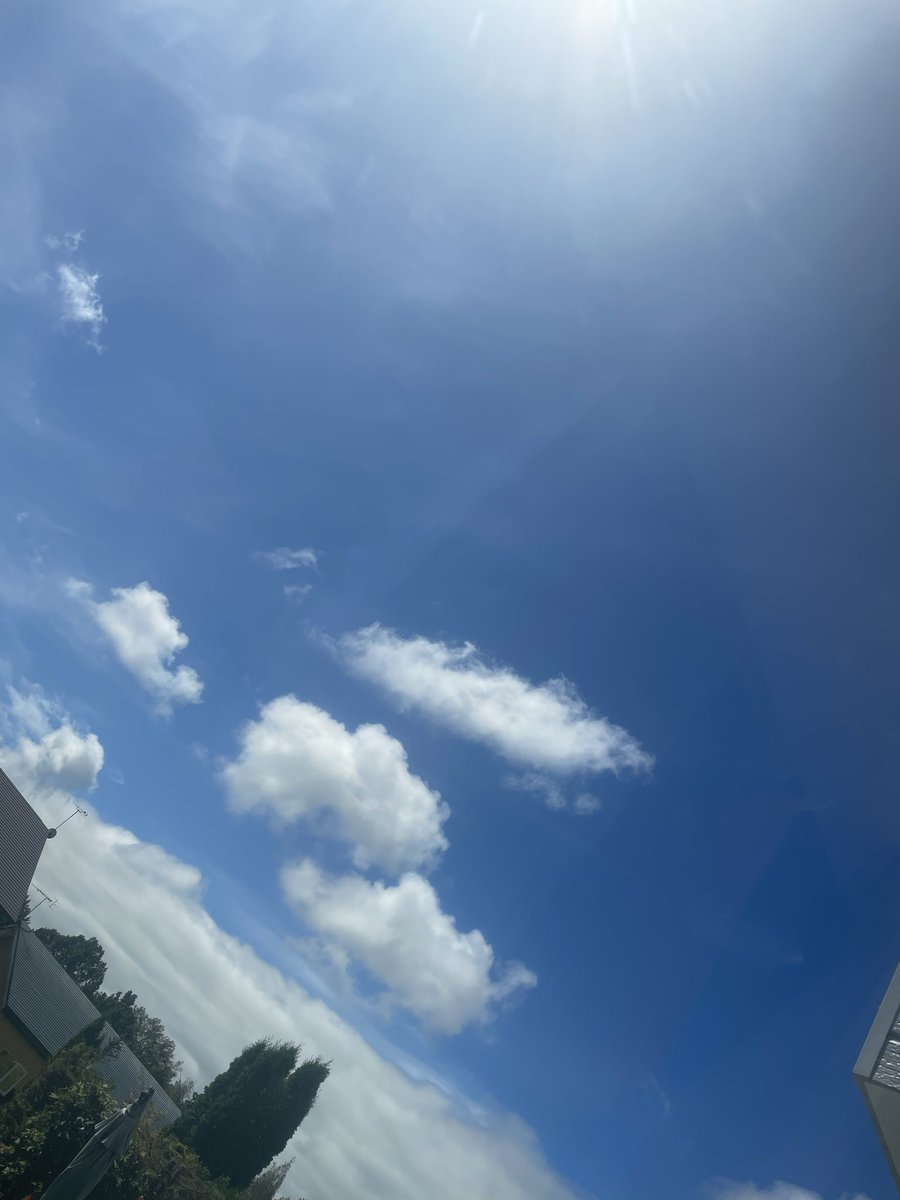 koma_kna's tweet photo. 今日の地元めちゃ天気良い！
こんな日に外で酒飲みながら焼肉食べてたい
今日帰るんだけど https://t.co/92Zu9rAkSg