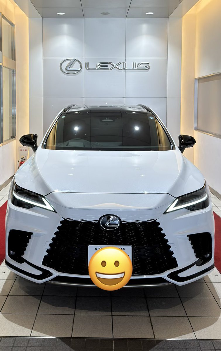 mokkai_fx's tweet photo. レンジ相場で毎年消耗するので今年はクルマを買って強制的にトレード抑制してました。
金銀は少ないけど保有中。 https://t.co/gGREX5i7ph