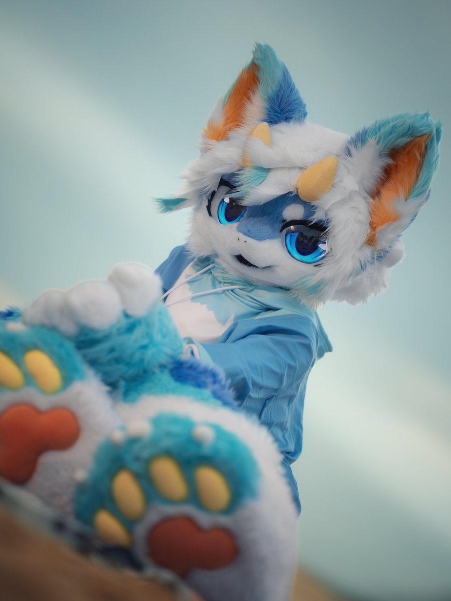 Horizen230120's tweet photo. #FursuitEverday

风乱发梢，心事潦草 https://t.co/7b0Sc9Zyil