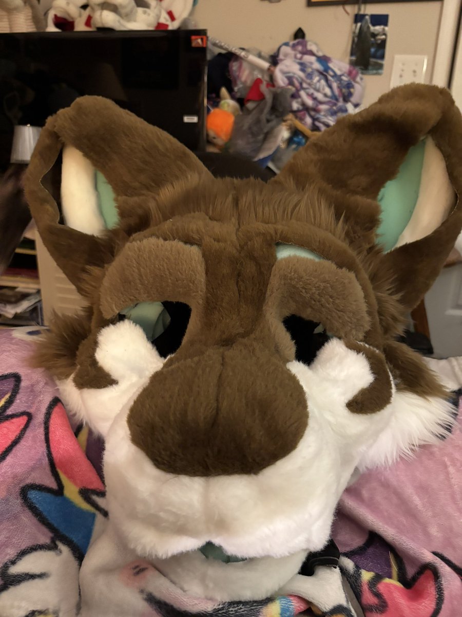 FlamingoFancyFS's tweet photo. So much going on in the shop as of late. Working on a full partial suit for a commission and on the side a mini partial for a trade. 
I really love both of them :3 

#fursuitfriday https://t.co/qZiY8mmqng