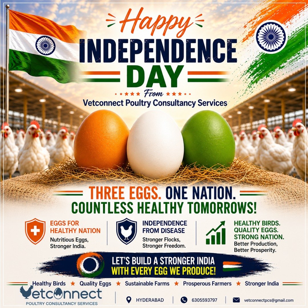 Vetconnectpcs's tweet photo. 🇮🇳 *HAPPY INDEPENDENCE DAY*, KISAN BHAIYO! 🇮🇳🐔

Har egg jo aapke farm se nikalta hai — *ek chhota sa tricolour hai mehnat, jazba aur azaadi ka*. 🇮🇳✨

JAI HIND! JAI KISAN! 🇮🇳🐓

Warm wishes,
*VetConnect Poultry Consultancy Services*  🇮🇳🐔🥚 https://t.co/ZEUjTDEVsa