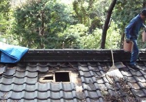 kouhei2708's tweet photo. 仏像・経典盗まれ、神社景勝地汚され、自販機破壊され、交通事故増えて、韓国人歓迎とかありえない。
国際ターミナルを比田勝と厳原に造るとか信じられない。
これ以上祖先が必死に護って来た防人の島対馬を次世代につなぐ為にも
　#対馬　#仏像経典盗難　#漂着ゴミ　#神社景勝地落書き　#交通事故増え https://t.co/oP3nH8mUHV