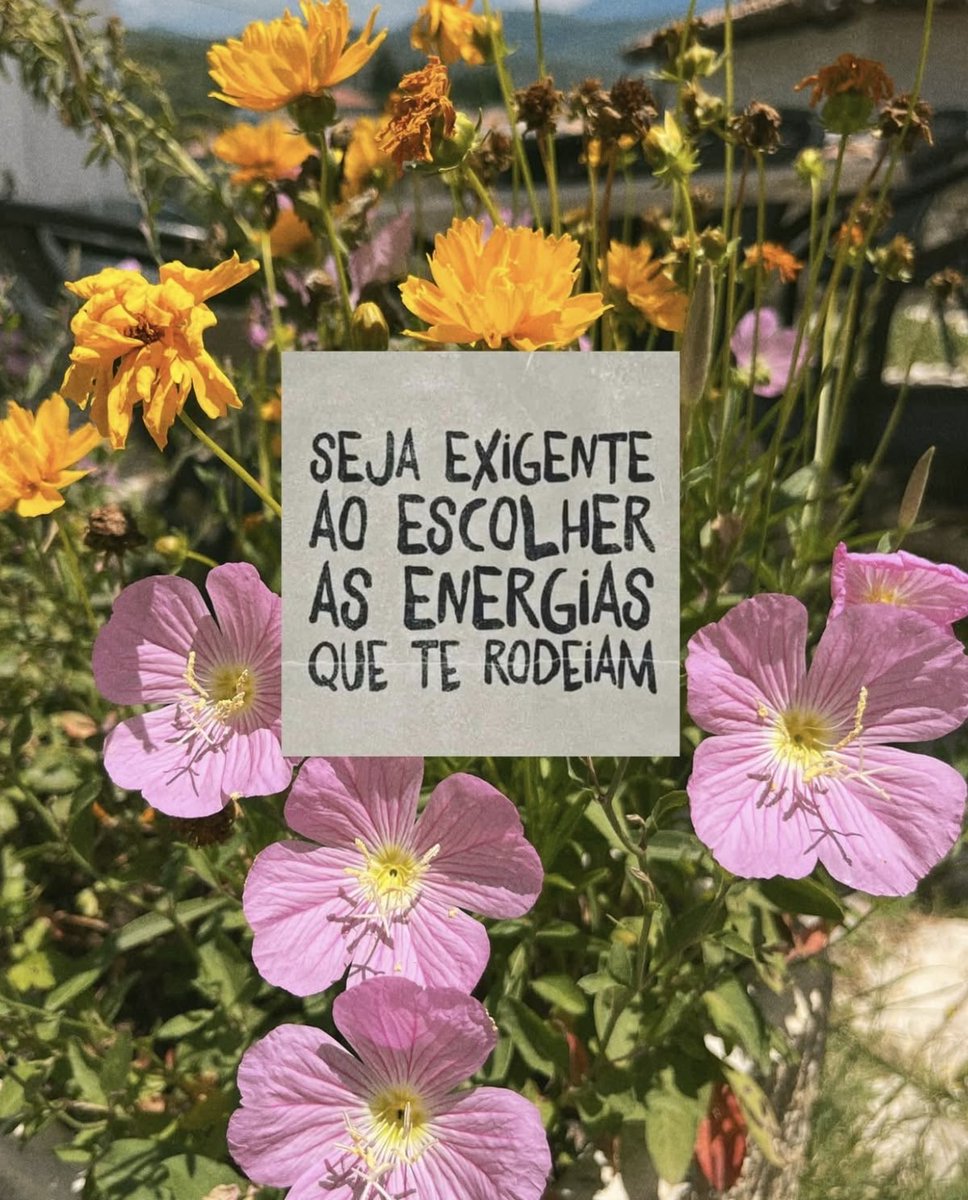 souderecitar's tweet photo. https://t.co/VZTxWmqq0n