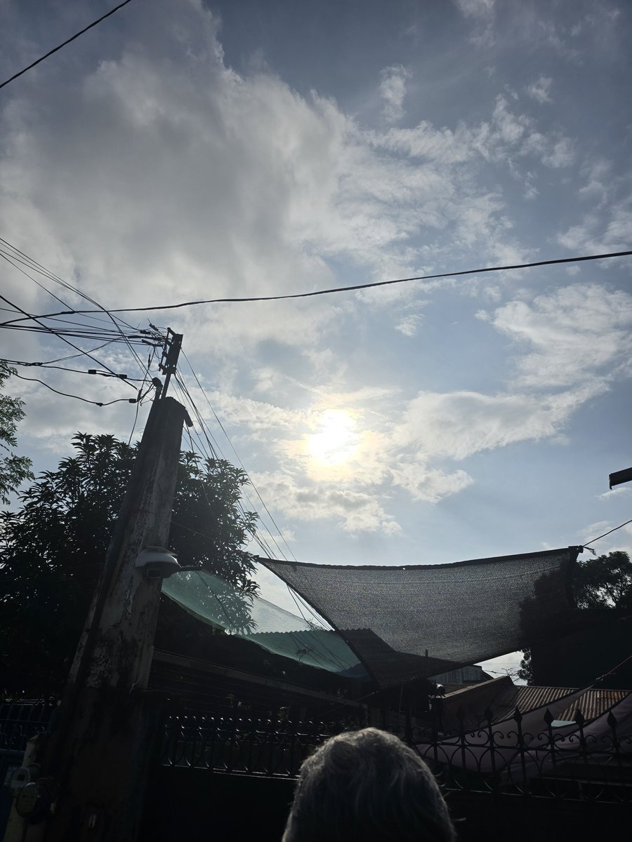 wees_plnc's tweet photo. Sun's out! https://t.co/p9mz3YbEl5