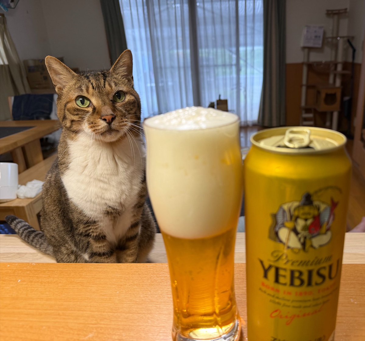 wise1300's tweet photo. おつかれさま〜🍻 https://t.co/lUlz8iPdb0
