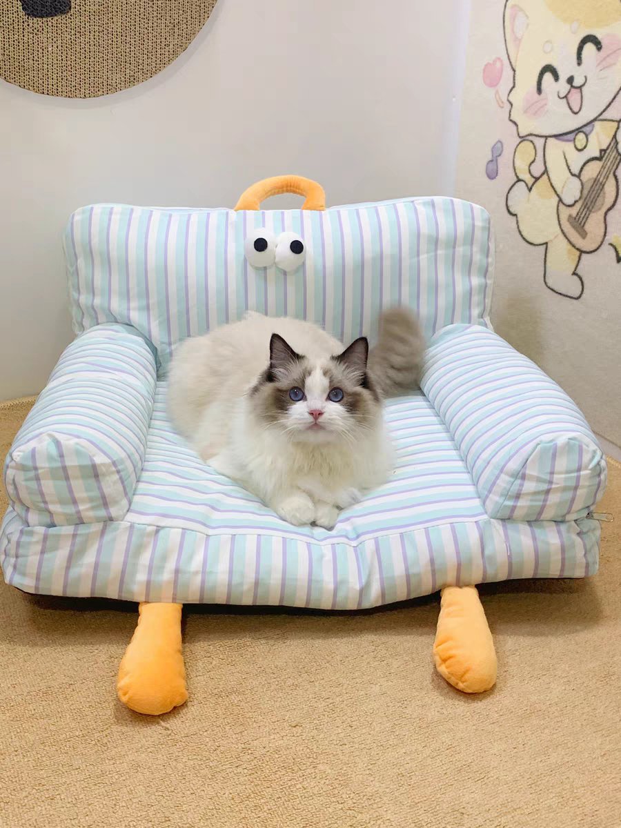 SubhashSwargia2's tweet photo. [My little furball just hit their 6-month milestone! From wobbly puppy steps to zoomies across the couch—every tiny growth moment feels like a treasure.  #PetGrowthPaws]， https://t.co/ZAcZ3FTdtb