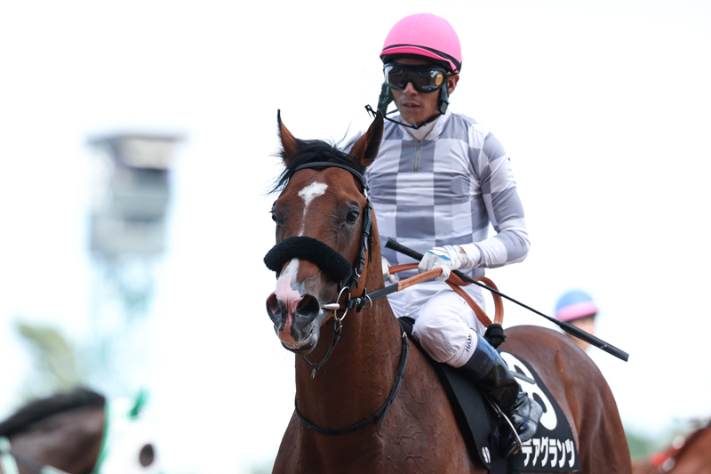 gallop_keiba's tweet photo. 札幌9R、#コスモス賞 は2番人気 #デアグランツ が勝利！ 道中は後方で折り合いをつけて進み、残り600m付近から進出開始。スピードに乗って4角を回ると力強く伸びて、最後は1番人気アゴルディーノを競り落として連勝！ https://t.co/5qw6BH9d7m
