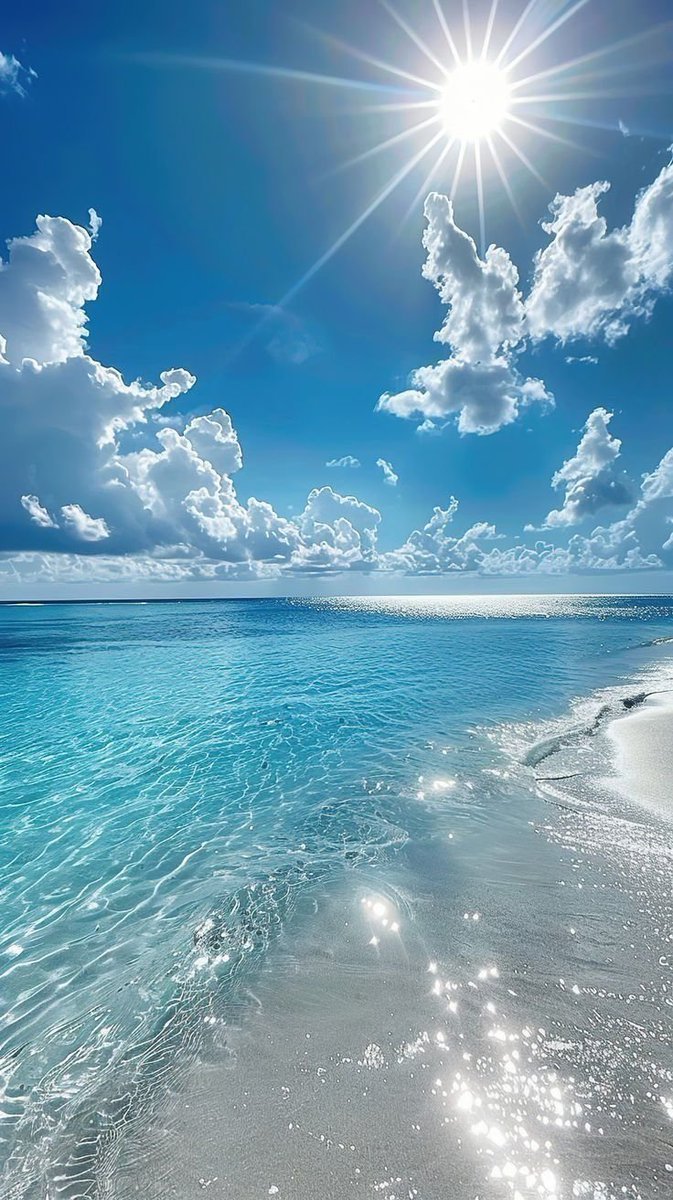 ClubElNacional's tweet photo. #sea https://t.co/siLzV8QNSn
