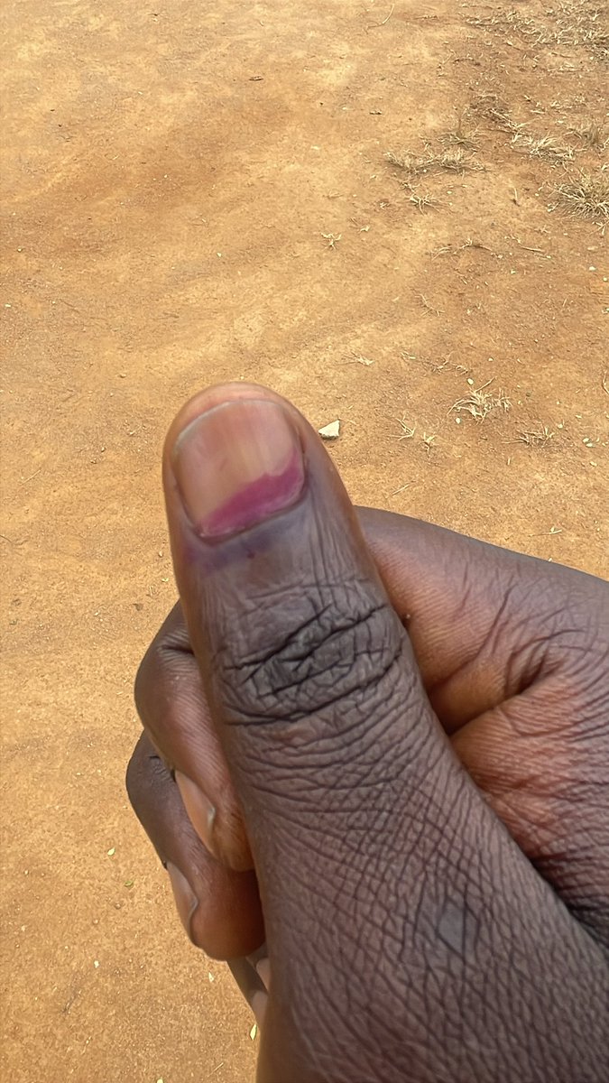 iamjohnjoy's tweet photo. I just successfully casted my vote 🗳️ 

May Ademola Adeleke come out victoriously. 

#OsunDecides2026
#ImoleTill2030 https://t.co/PTWAbGEmc8