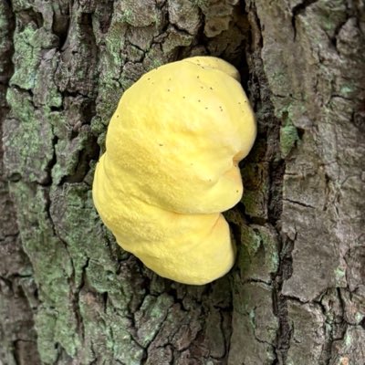 suirenboku's tweet photo. #新しいプロフィール画像 https://t.co/fiu3oE4tmR