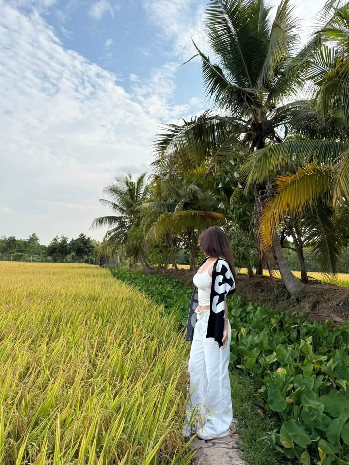 nganvulep's tweet photo. cây nhà lá vường https://t.co/Lw893G5Ywb