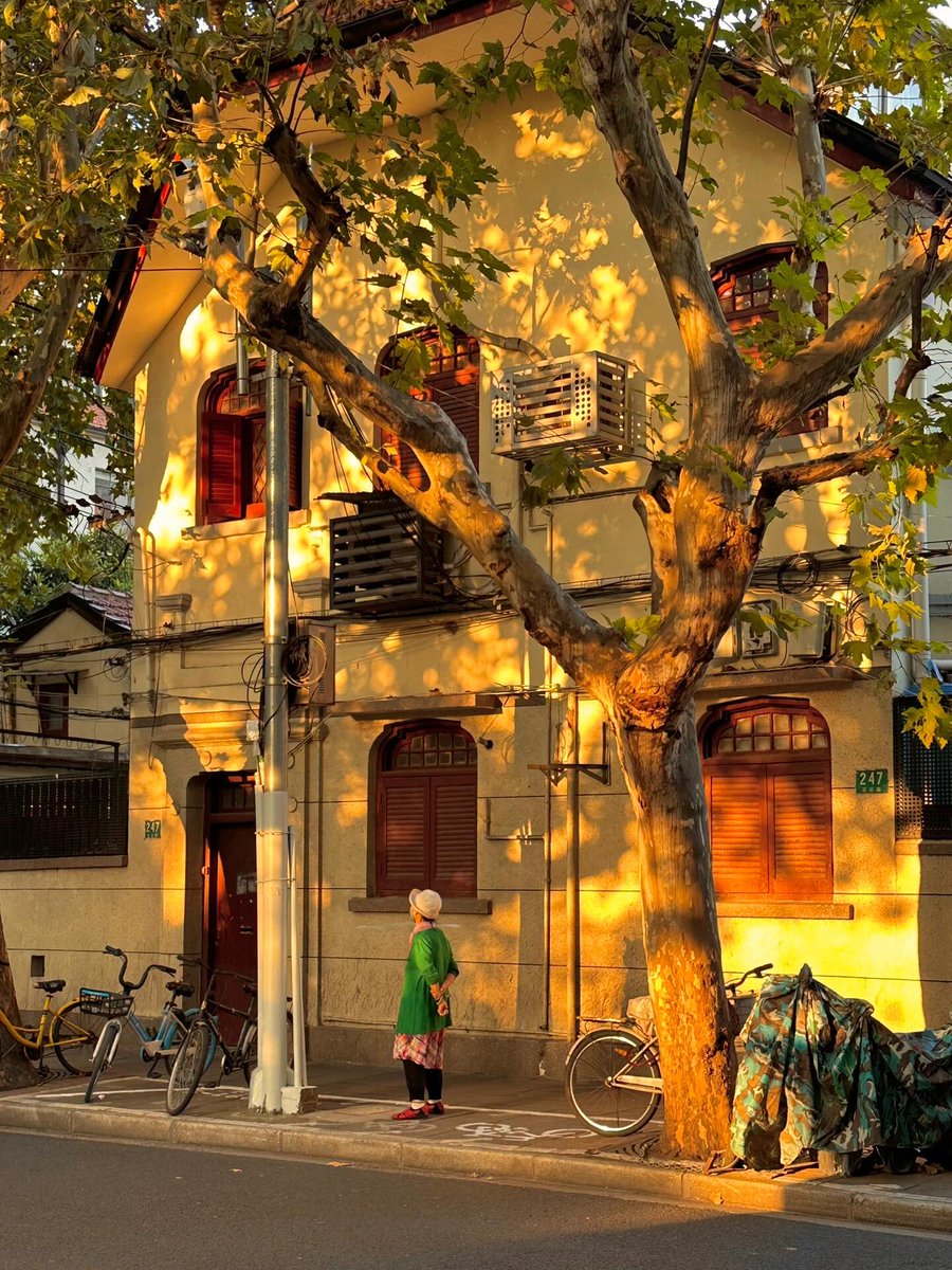RaghuSitra's tweet photo. Just wandered the city streets and caught this perfect golden hour glow hitting the old brick wall—love the quiet, unplanned magic of street snaps https://t.co/RnazPoWHVC