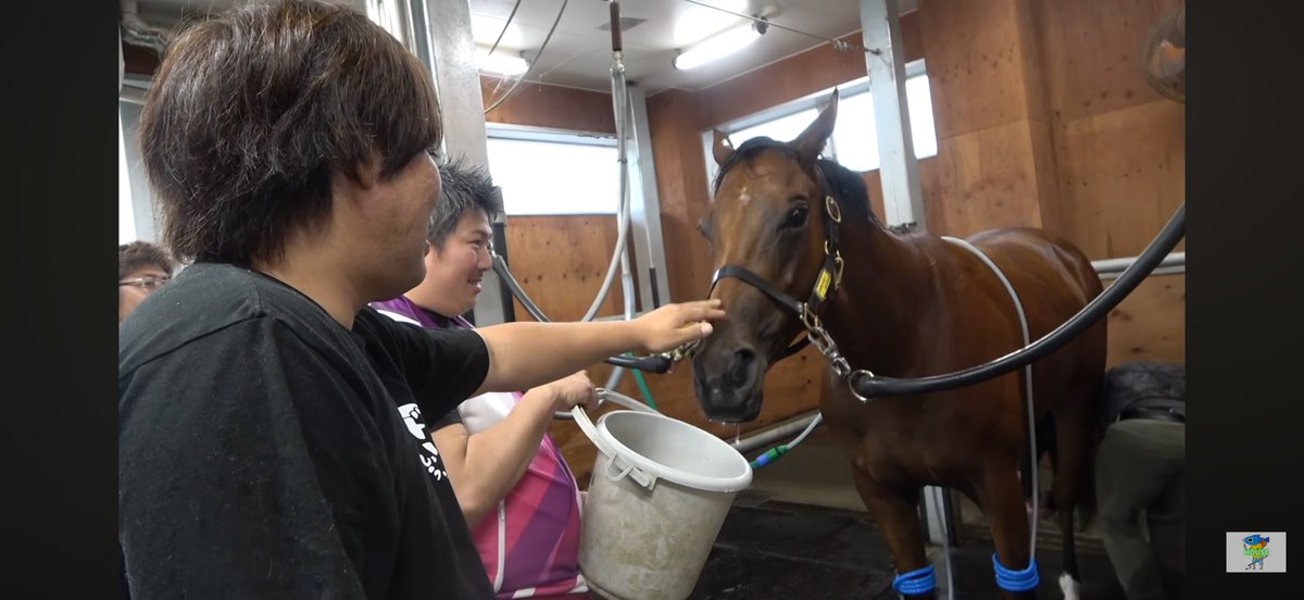 mileyy71d's tweet photo. ヨカムスメ🐎デビュー戦1位おめでとう🎊✨
リードを保って、👑1位👑かっこよかった🐎
佐賀競馬いきたかった😭
中央に来てくれますように🙏✨
これからも応援しています！
真島さん、これからもヨカムスメをお願いします！

#tsuriyokach 
#釣りよかでしょう
#佐賀よかでしょう
#ヨカムスメ
#佐賀競馬 https://t.co/pVM8hJ3NFe