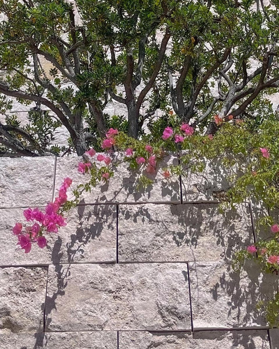 __RobertaC's tweet photo. Hi friend! 🌈 Today is a great day because you are enough, and you’ve always been. Believe it. 🦋
HMCZ https://t.co/XKkXYqvtkZ