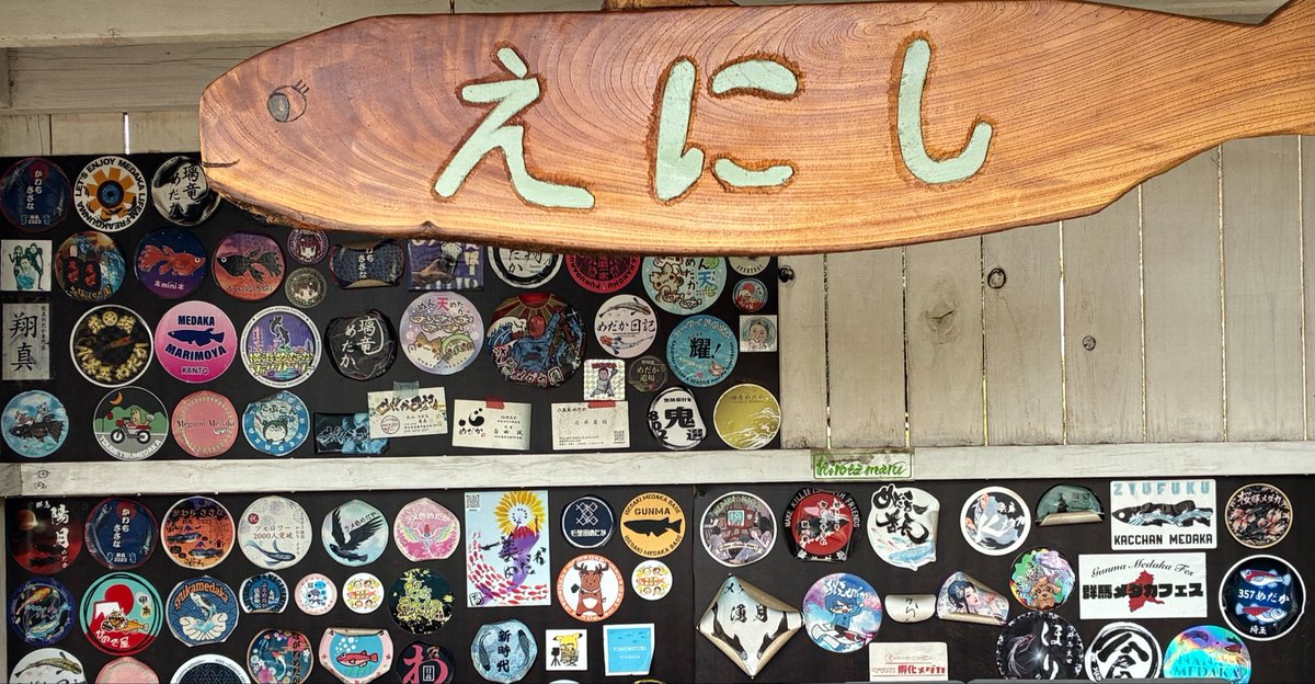 357medaka's tweet photo. 午後からは群馬県伊勢崎市に
有るメダカ屋えにしさん
訪問🚗まいたけパパ
＠maitake2130 と奥様の
ちあすけ（まいたけママ）@yjJqMaVtncCwhrF さんが、ご夫婦でメダカ屋さんをしています😊
タライの数が、凄すぎます✨
他にも沢山置いてます。
是非寄ってください🚗
メダカも購入させて頂きました🐡 https://t.co/PMdKH1a3Ho