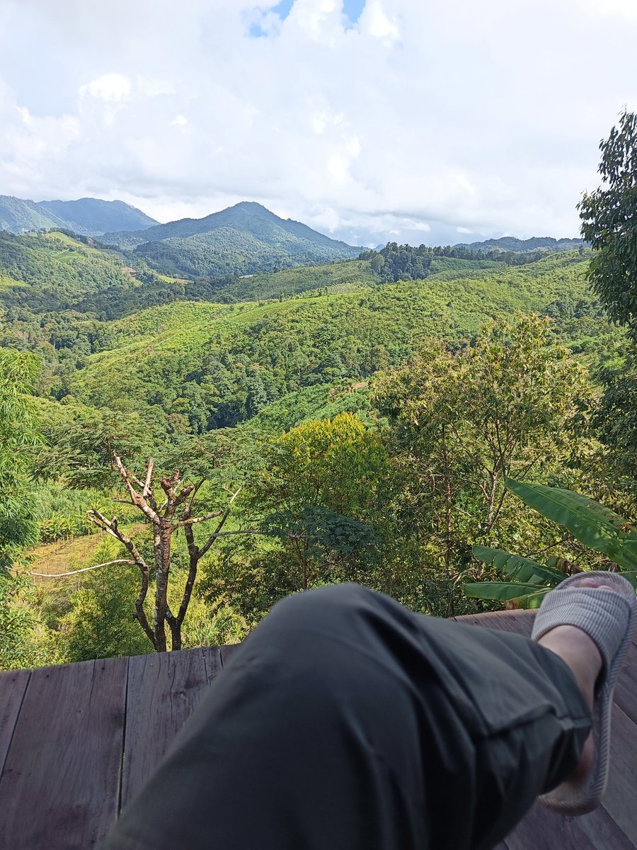 CEamlaor's tweet photo. ภูแววิว  ที่สุด บ้านมณีพฤกษ์ https://t.co/rVohardH77