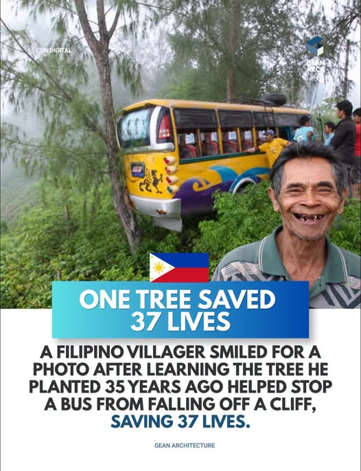 tweedlepinkee's tweet photo. Keep planting seeds. We never truly know the effects of our positive actions. https://t.co/1LKJrqTJvC