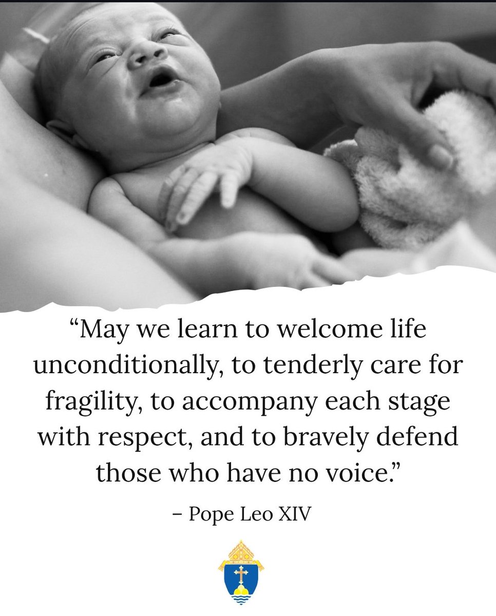 SilvestersFaith's tweet photo. A nation that protects its most vulnerable protects its own future.
Every life matters — from the womb to natural death.
Happy Independence Day 🇮🇳
#StandwithJCDPrabhakar #prolifeIndia #marchforlife #prolifegeneration #IndependenceDay https://t.co/f8B9s95VkI