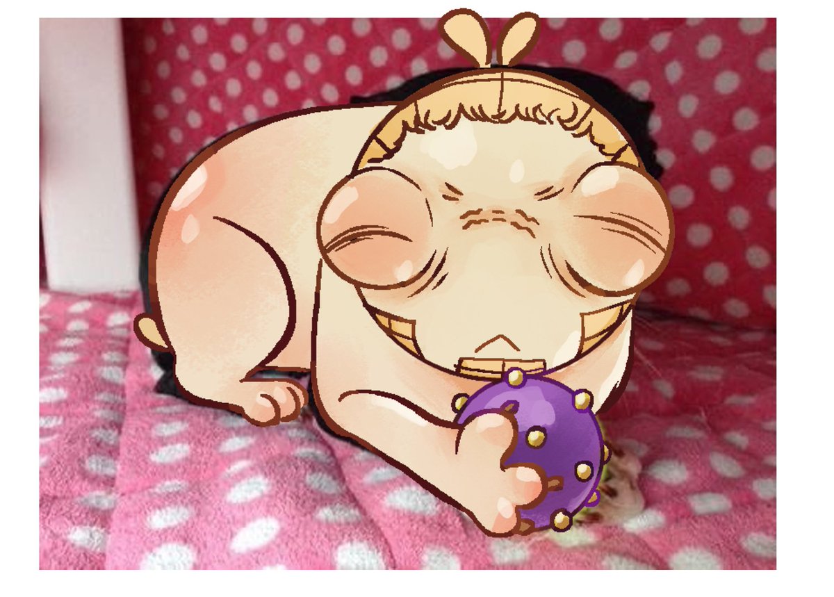 SolidosSolace's tweet photo. my ball..... my bal.... mine... #wekapipo

#sbr #jjba https://t.co/VufoX6tjou