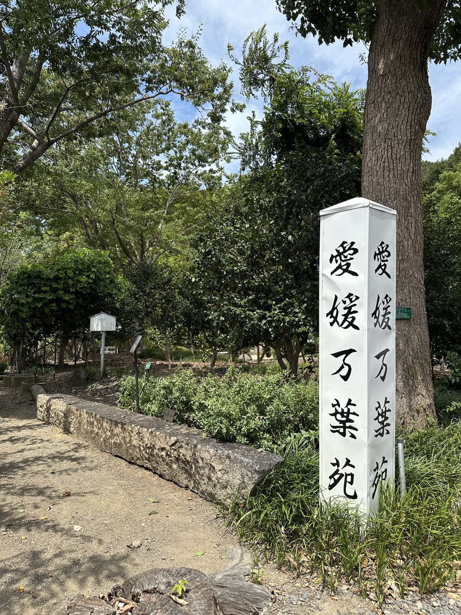 Om_Arapacana's tweet photo. 【終戦記念日祭】
尊い命を犠牲にされた護国英霊に哀悼の誠を捧げるとともに、尊崇の念を表し、御霊安らかなれとご冥福をお祈��します

愛媛縣護國神社境内の慰霊碑および万葉苑は、参拝者受け入れ準備が整いました。 https://t.co/8N5LgJfOhr