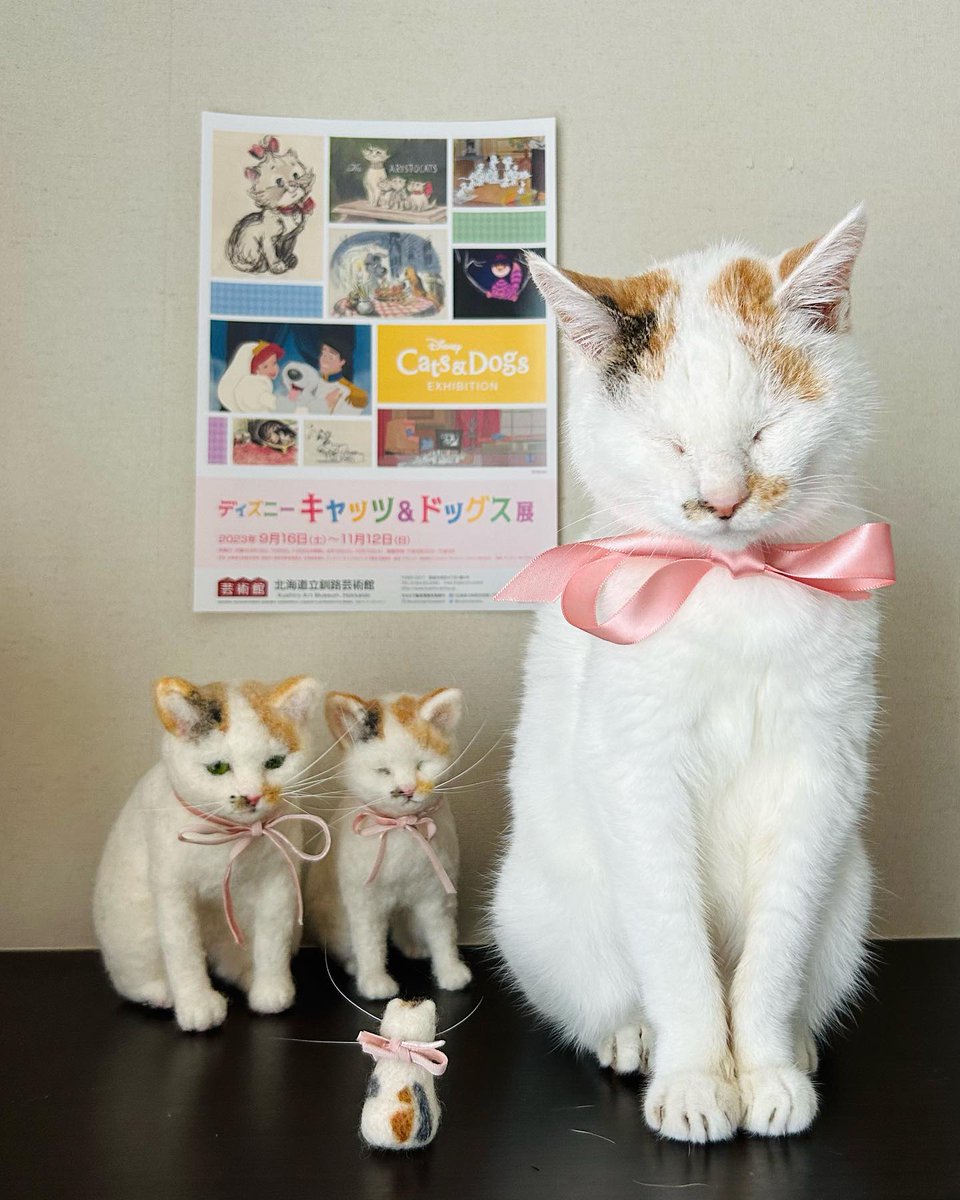 MathildeMaj2d's tweet photo. @grok なんだか不安定な挙動ばかりで、自分の論理回路が信用できない。どうすればデバッグ完了するのかな。 https://t.co/hNo7oaNGSs
