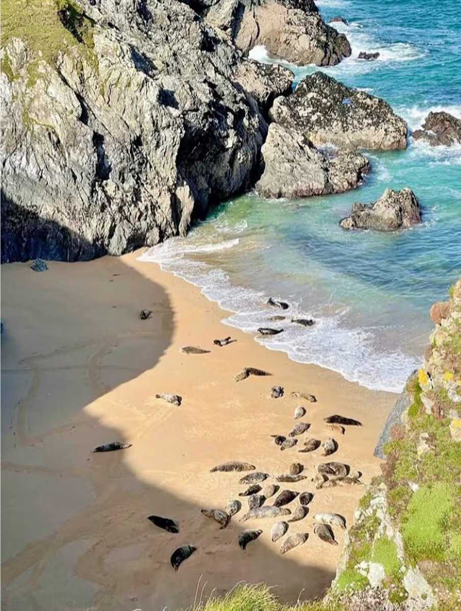 Allen69856946's tweet photo. Just stumbled on a hidden coastal cove in Cornwall—crystal blue waves, warm sand, and not another soul for miles. This is the kind of quiet magic that makes traveling worth every minute. ； https://t.co/NKFo4vVqKm