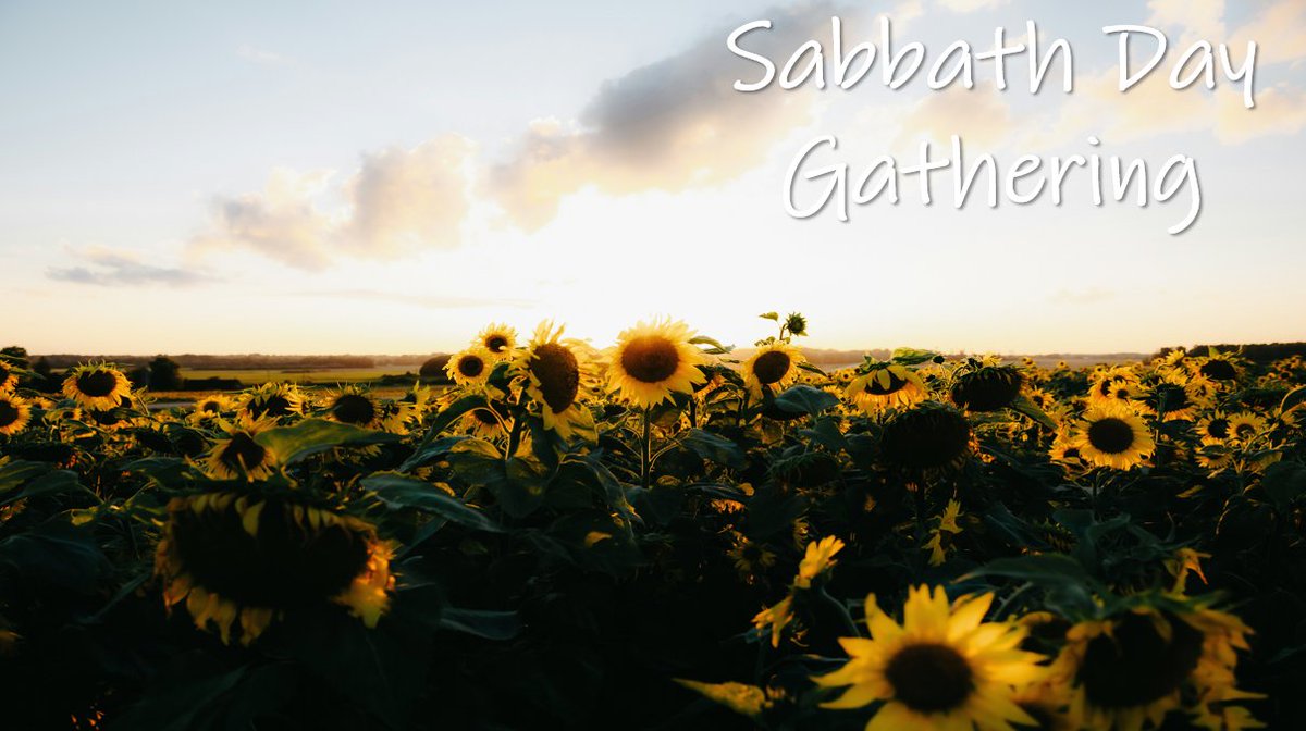 gaamadison's tweet photo. Happy Sabbath Day!

Today, we guard the sign between Father יהוה {YAHUAH} ALMIGHTY and His people!
*Exodus 31:12-14*

Join @gaamadison tomorrow (8.15.2026) for Sabbath Day service @ 12 pm CST! Message me for the Zoom link.

#HalleluYAH! #SabbathDay! #DayNumberSeven! https://t.co/GNCLyI0jeU