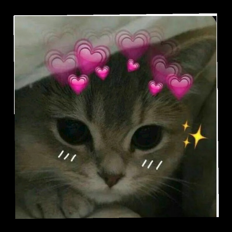 ConsueloRagdf's tweet photo. 胖奇本來睡在母猴身上好好的
姐姐拿葉子來找牠可能想
一起吃 結果母猴把胖奇推走
胖奇氣噗噗嘰嘰叫又(哼一下)
生氣也太可愛了吧 感謝分享 Translate the_punch_monkey https://t.co/RUnt31EvUW