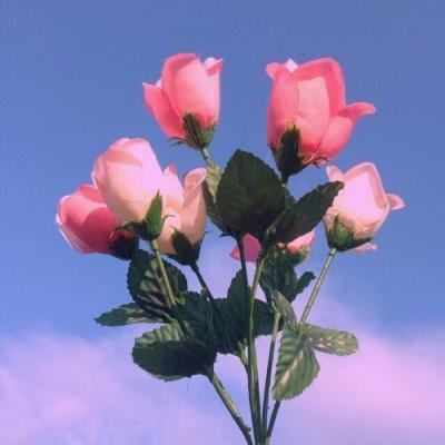 CandyVarga24997's tweet photo. Embracing staying focused unleashes potential. From new ventures to seeking mentors, growth happens. It’s the core of sustained success. Steady progress leads to big achievements. Small steps build lasting confidence. 🚩 https://t.co/TbCgllwETg