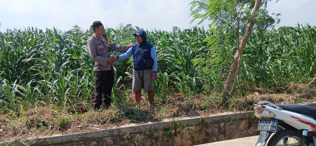 humass6718's tweet photo. @divisihumaspolri
@humaspoldajatim
@ssdmpolri

#astacita #swasembadapangan #ketahananpangan #ketahananpanganpoldajatim #polripresisi #polisiindonesia #ssdmpolri #divhumaspolri #birosdmpoldajatim #bidhumaspoldajatim #ketahananpanganpolrestulungagung #polrestulungagung #tulungagung https://t.co/T1OGufXUuI