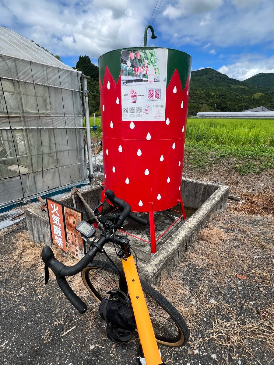 naocoolove1's tweet photo. いちご園のタンクはかわいいね〜 https://t.co/a8c4SX0KD1