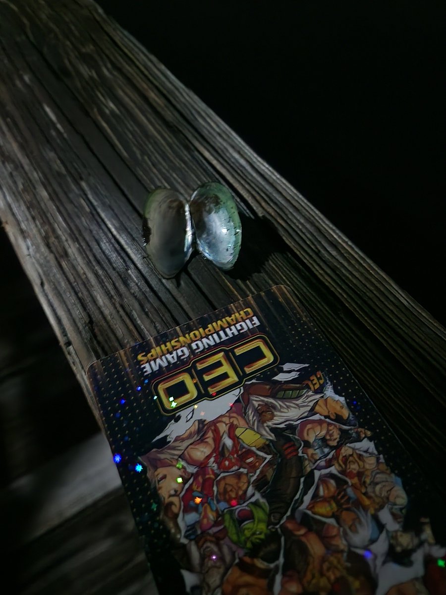 ATLFunkyP's tweet photo. #ceofishing https://t.co/cGARVNYiy2