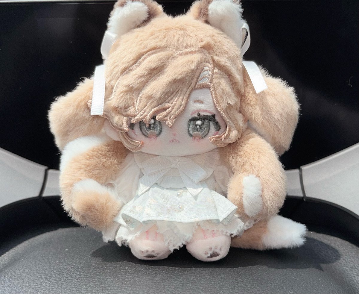 Shippo_usagi_no's tweet photo. ромашка🦊🌼🤍

#RabbiTail_nui https://t.co/krP83XLOil