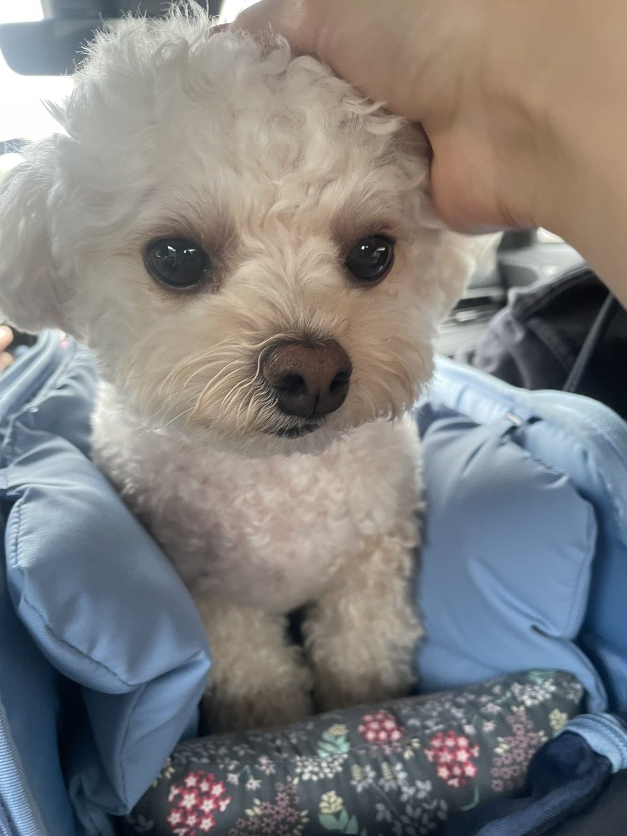 riceglue_choi's tweet photo. 뽀쨕 https://t.co/2vlZXjsO6k