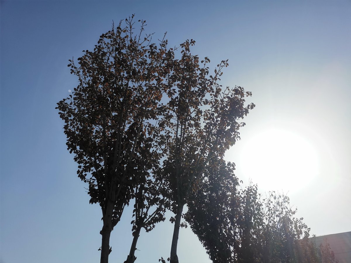 GregoryEnos's tweet photo. “Growth hits differently when you stop chasing others’ paths and start tending to your own pace. Some seasons are for blooming, others for rooting—both matter.  #LifeLessons”， https://t.co/oEOIPeyoLm
