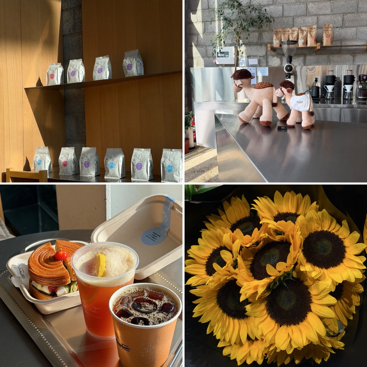 Sept4I's tweet photo. 🌻💛 https://t.co/ysPWBbzTu5