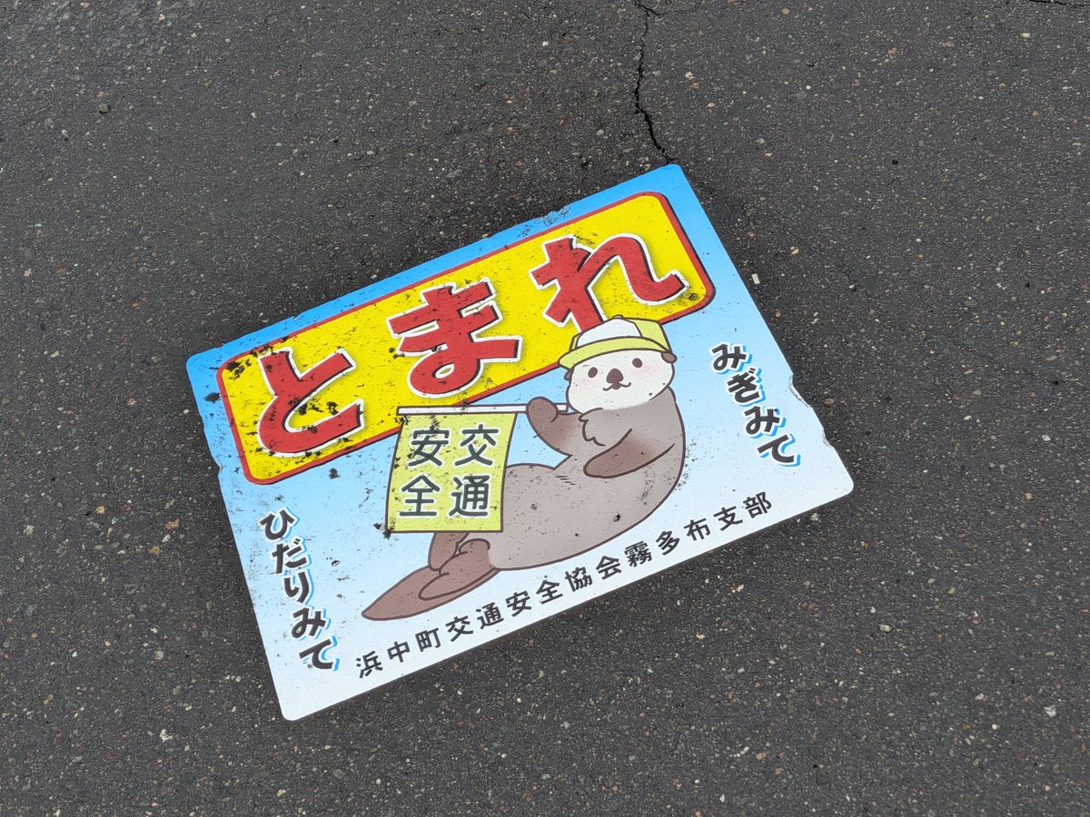 sunatti0505's tweet photo. 雨の霧多布岬。
野生のラッコいた！！

8月でも雨だと気温17℃、長時間雨に打たれながらもウキウキでラッコ観察してたので、このあと私は風邪をひいたのであった。 https://t.co/MWfuKTTtcd