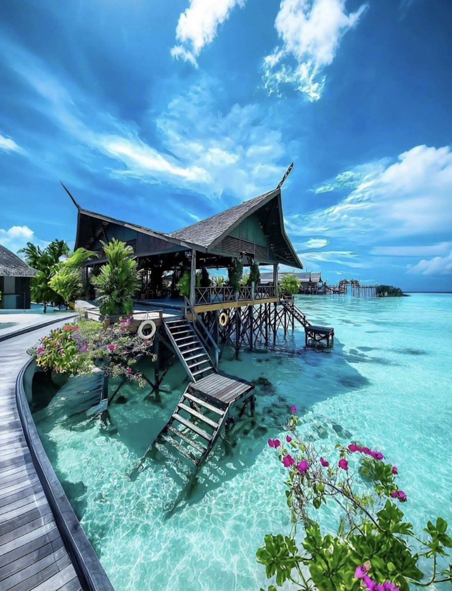 travelgirl_love's tweet photo. 【予算18〜35万円】（3泊4日）

🇲🇻モルディブ

「人生で一番きれいな海だった。」って言えるほど世界一綺麗な海🥺✨

どこまでも続くエメラルドブルーの海で、
シュノーケリングやサンセットを楽しむ時間はまさに非日常…。 https://t.co/GpukAUBciH