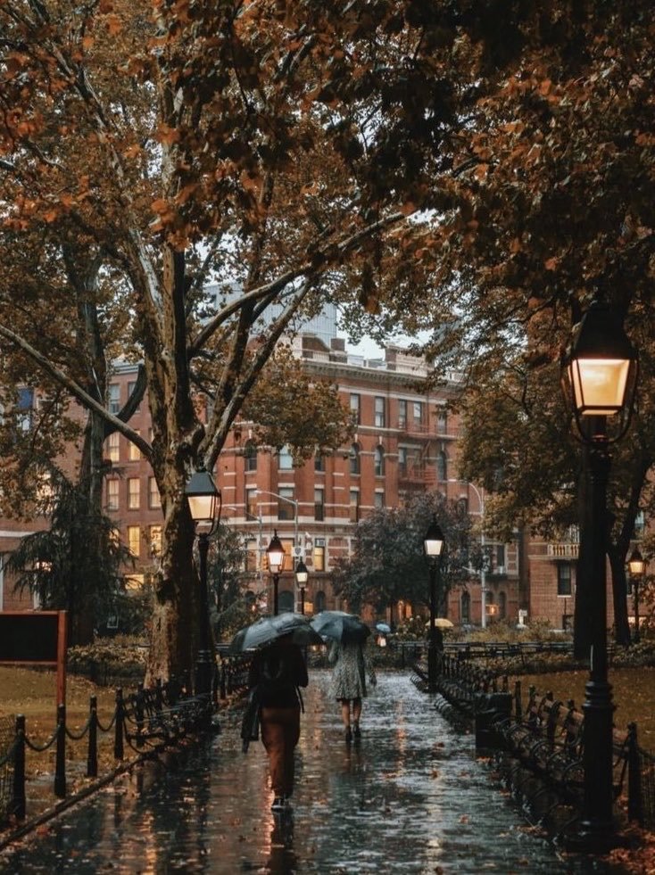 flower6260's tweet photo. Beautiful rainy day https://t.co/Xvw2TDWx1v